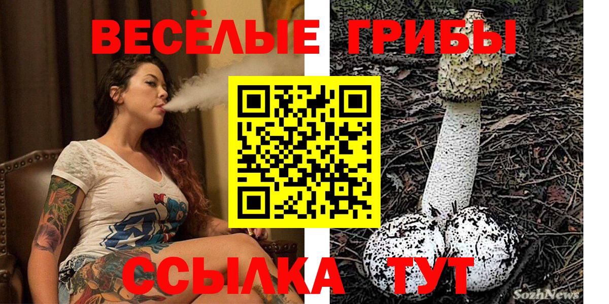 Псилоцибиновые грибы мицелий Ивантеевка